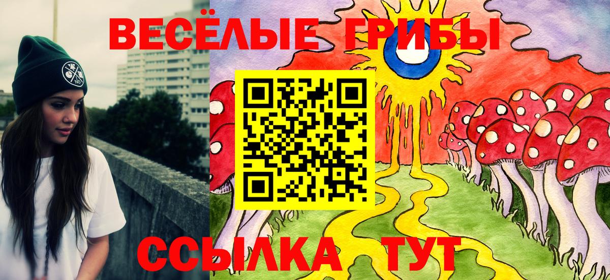 Псилоцибиновые грибы Psilocybe Майкоп